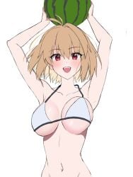 Tsukihime (Remake) Rule 34 Image