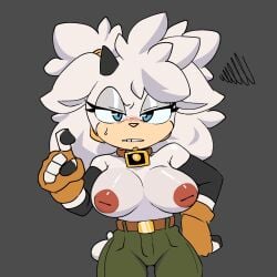 Sonic (Series) Rule 34 Image