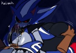 Sonic (Series) Rule 34 Image