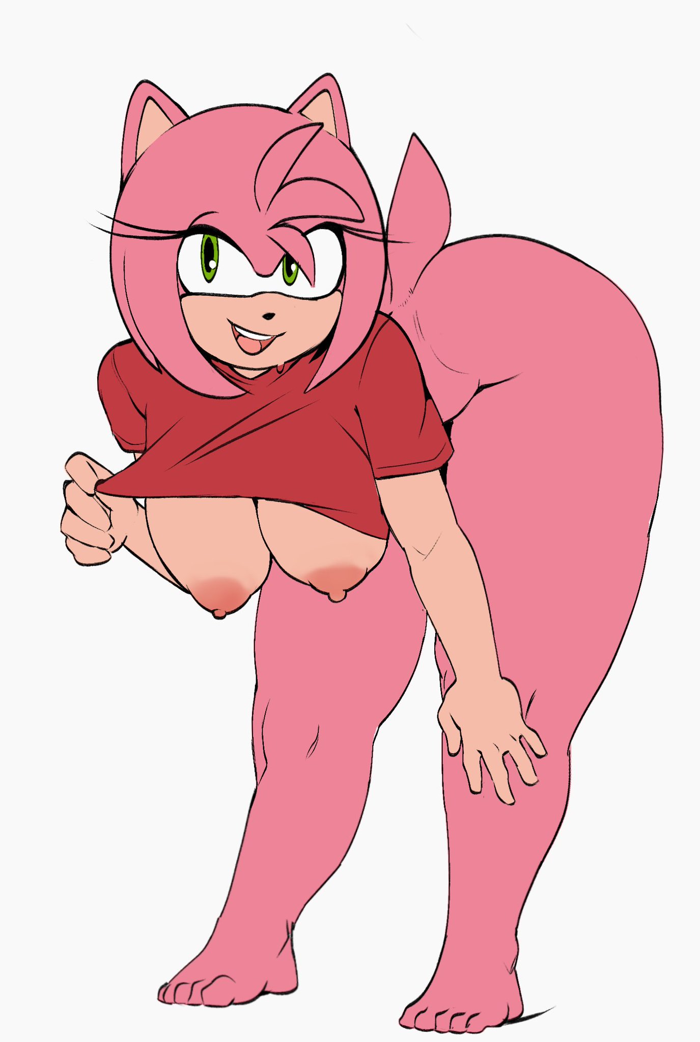 Sonic (Series) Rule 34 Image