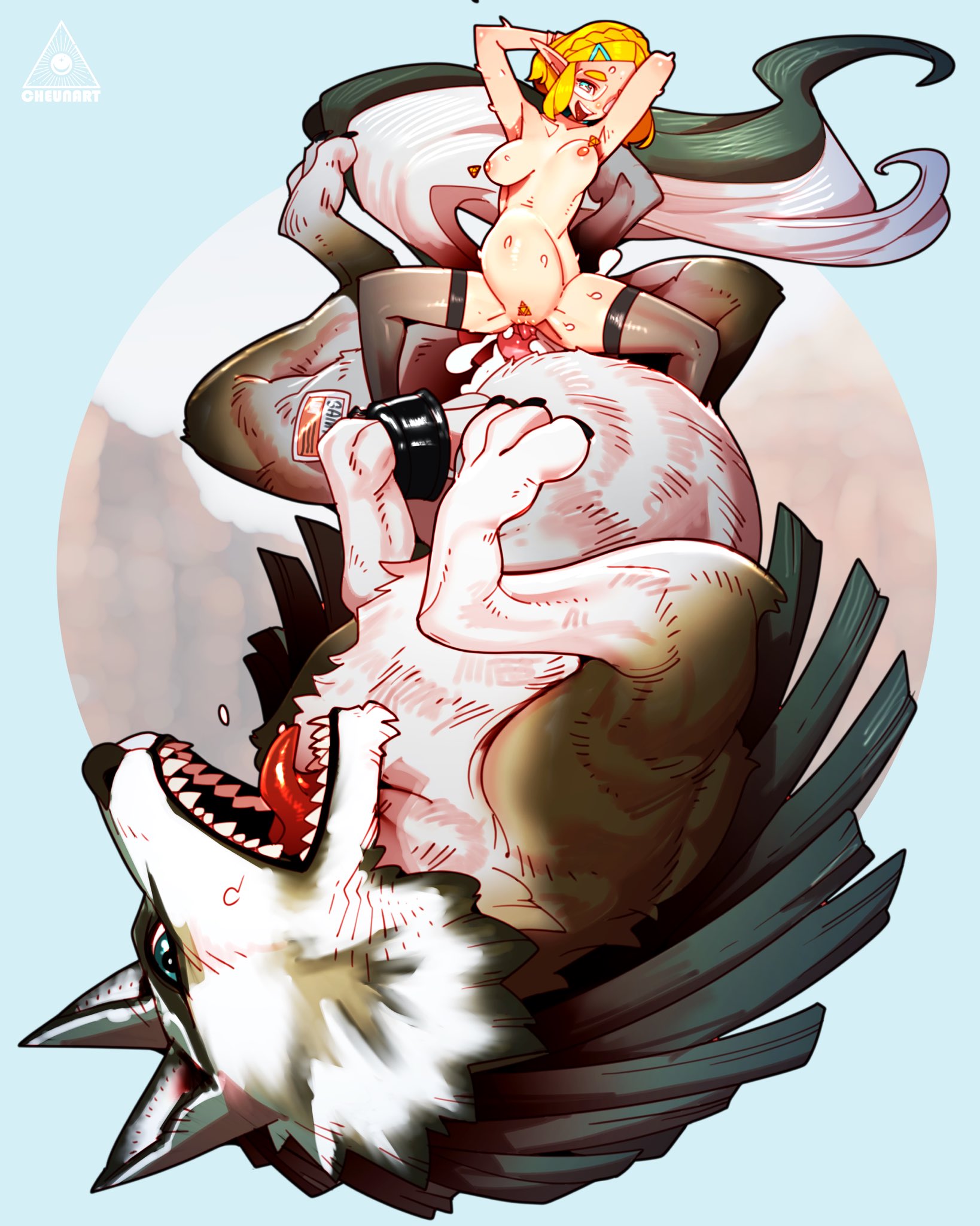 Zelda (Tears Of The Kingdom) Rule 34 Image