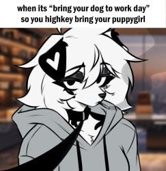 Anthro Rule 34 Image