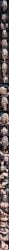 Harry Potter (Series) Rule 34 Image