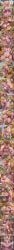 Mario (Series) Rule 34 Image