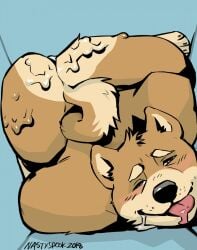 2018 Rule 34 Image