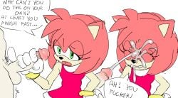 Sonic (Series) Rule 34 Image