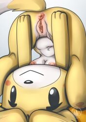 Isabelle (Animal Crossing) Rule 34 Image