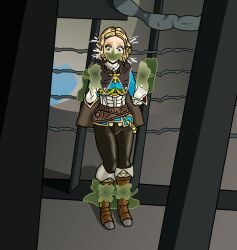 Zelda (Tears Of The Kingdom) Rule 34 Image