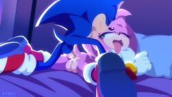 Sonic The Hedgehog (Series) Rule 34 Image