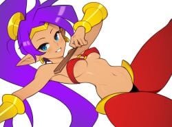 Shantae (Character) Rule 34 Image