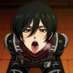 Mikasa Ackerman (Attack On Titan) Rule 34 Image
