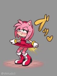 Sonic The Hedgehog (Series) Rule 34 Image