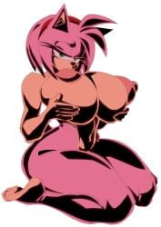 Sonic (Series) Rule 34 Image