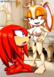 Sonic (Series) Rule 34 Image