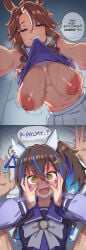 Daitaku Helios (Umamusume) Rule 34 Image