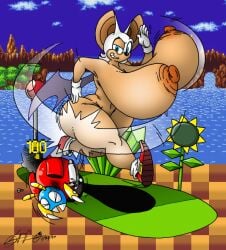 Sonic The Hedgehog (Series) Rule 34 Image