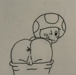 Toad (Mario) Rule 34 Image