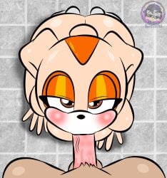 Sonic The Hedgehog (Series) Rule 34 Image