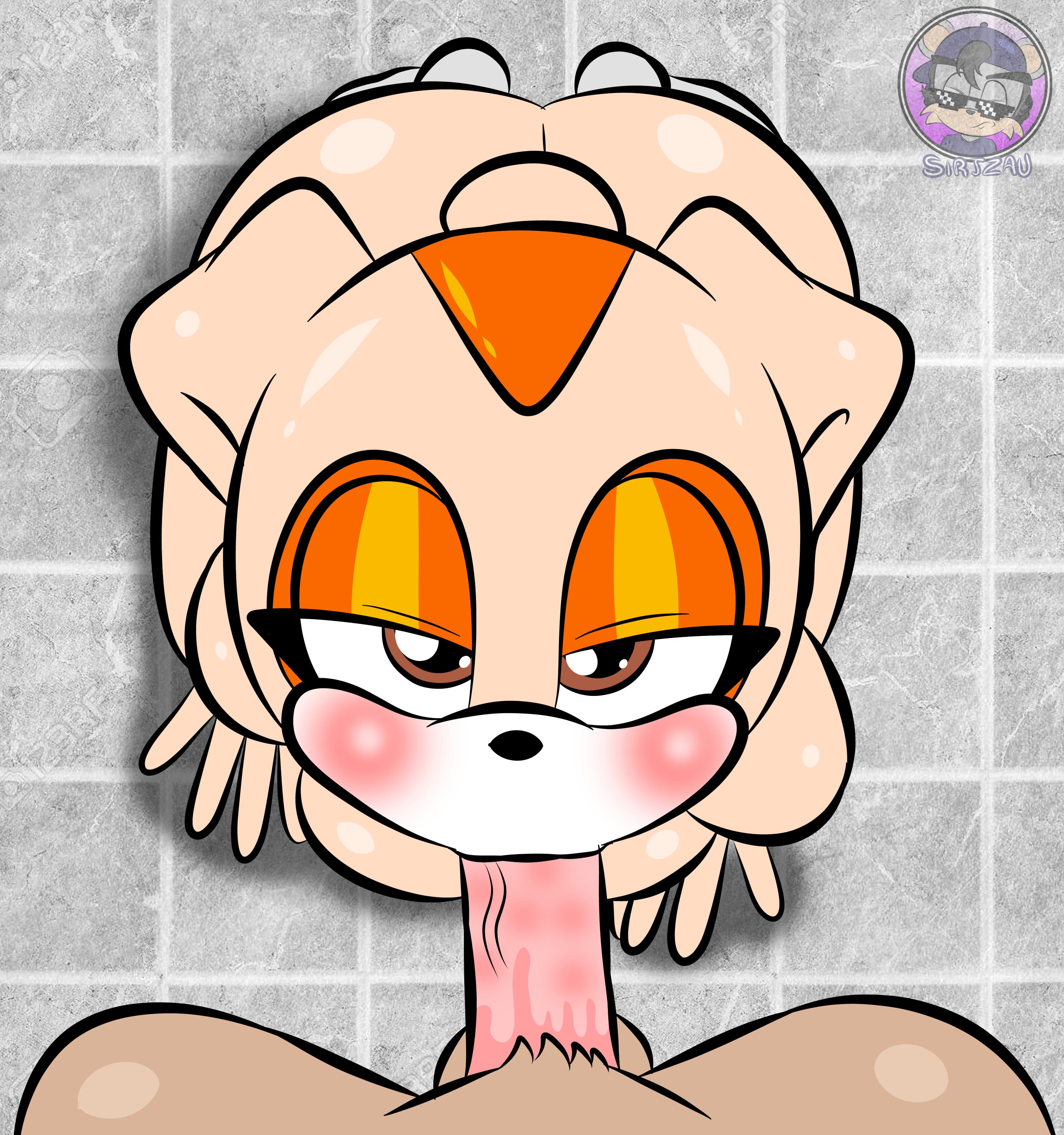 Sonic The Hedgehog (Series) Rule 34 Image
