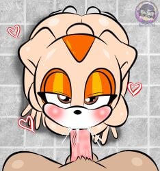Sonic The Hedgehog (Series) Rule 34 Image