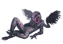 Corvus (Genus) Rule 34 Image