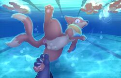 Crumb (Buizel) Rule 34 Image