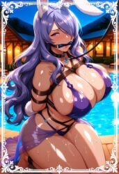 Camilla (Fire Emblem) Rule 34 Image