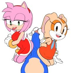 Sonic (Series) Rule 34 Image
