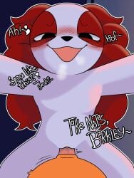 Andy Rule 34 Image