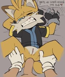 Mobian (Species) Rule 34 Image