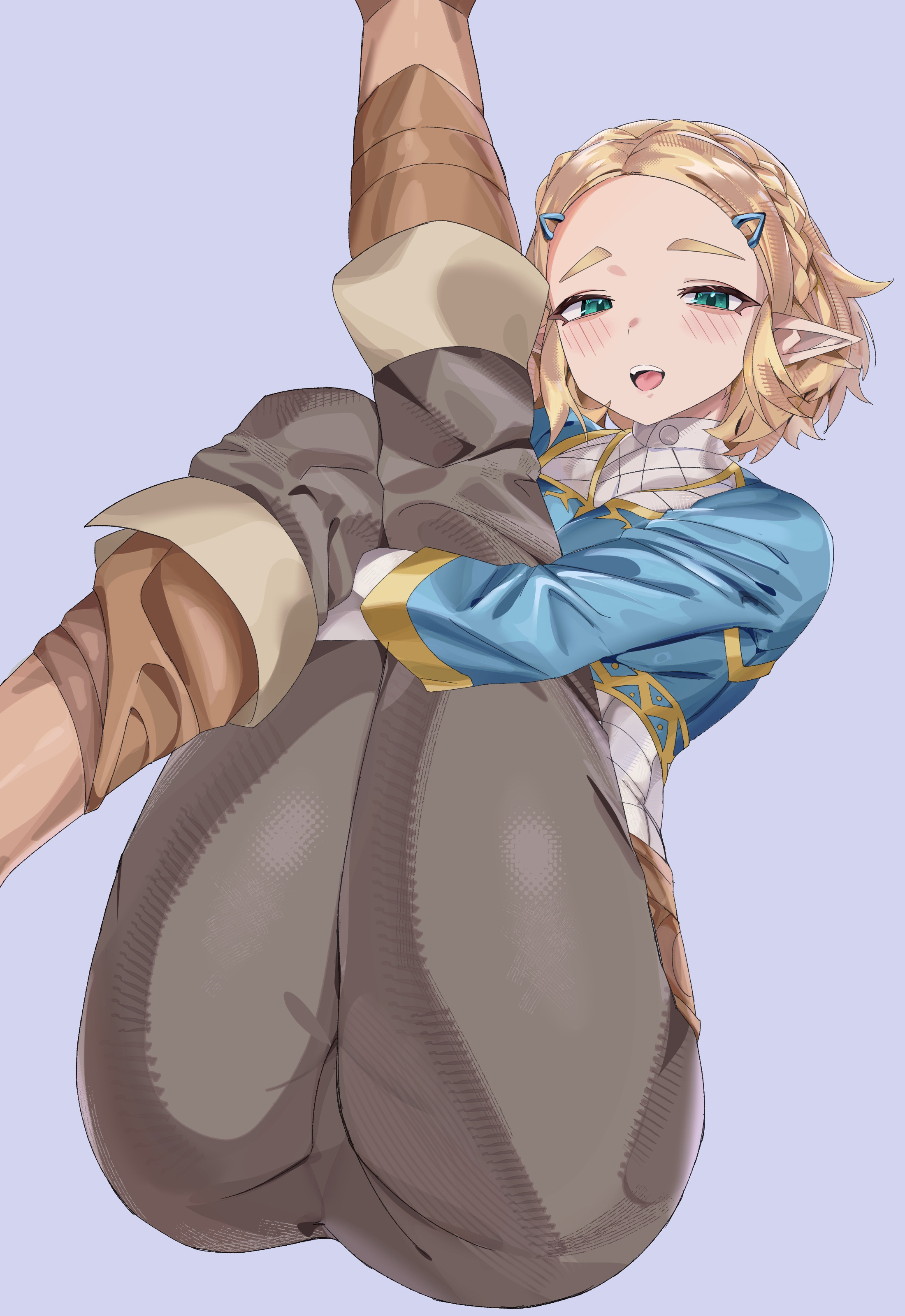 Zelda (Tears Of The Kingdom) Rule 34 Image