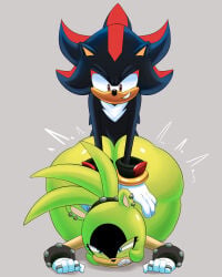Sonic (Series) Rule 34 Image