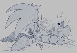 Sonic The Hedgehog (Series) Rule 34 Image