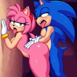 Sonic (Series) Rule 34 Image