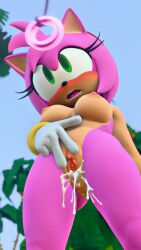 Sonic The Hedgehog (Series) Rule 34 Image