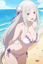Emilia (Re:Zero) Rule 34 Image
