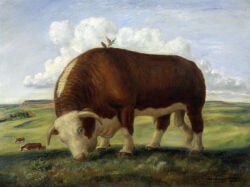Oil Painting (Artwork) Rule 34 Image