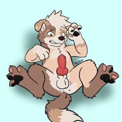 Angii Rule 34 Image