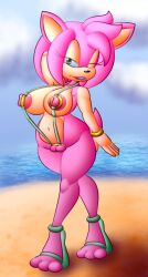 Sonic The Hedgehog (Series) Rule 34 Image