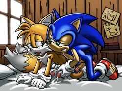 Sonic The Hedgehog (Series) Rule 34 Image