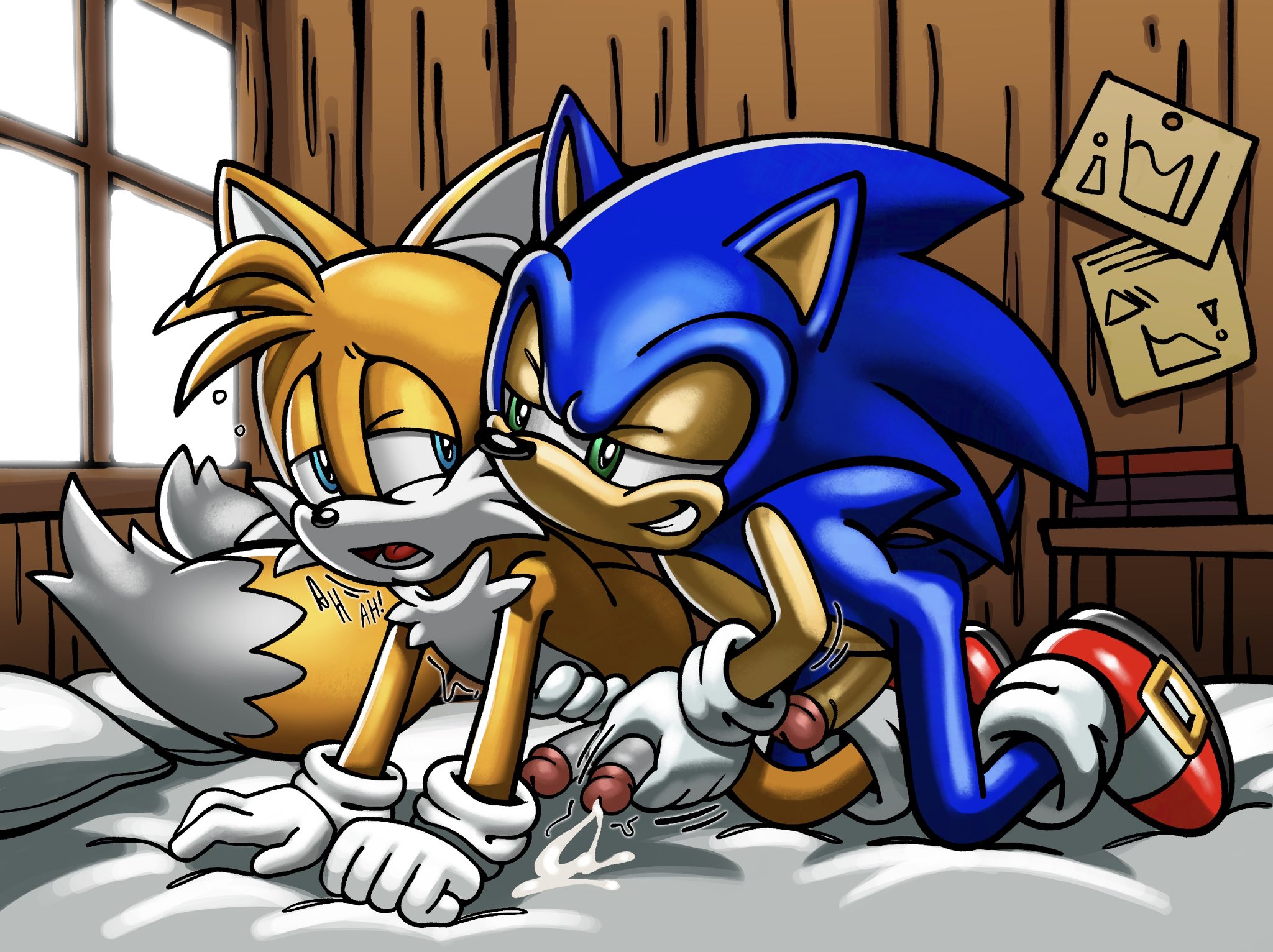 Sonic The Hedgehog (Series) Rule 34 Image