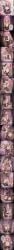 2026 Rule 34 Image