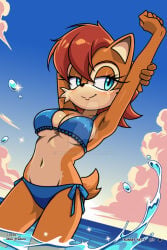 Sonic (Series) Rule 34 Image