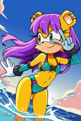 Sonic (Series) Rule 34 Image