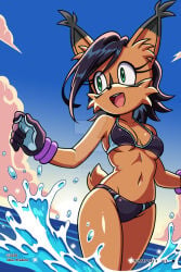 Sonic The Hedgehog (Archie) Rule 34 Image