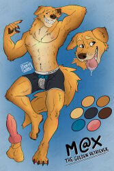 Abs Rule 34 Image