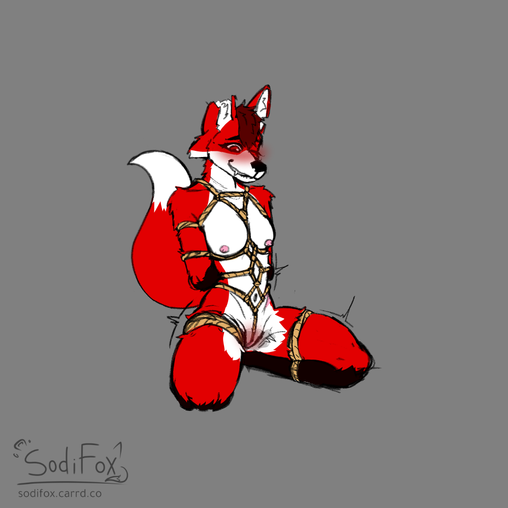 1:1 Rule 34 Image