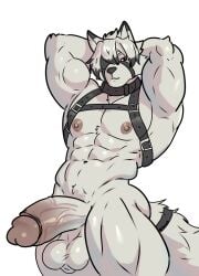 Abs Rule 34 Image