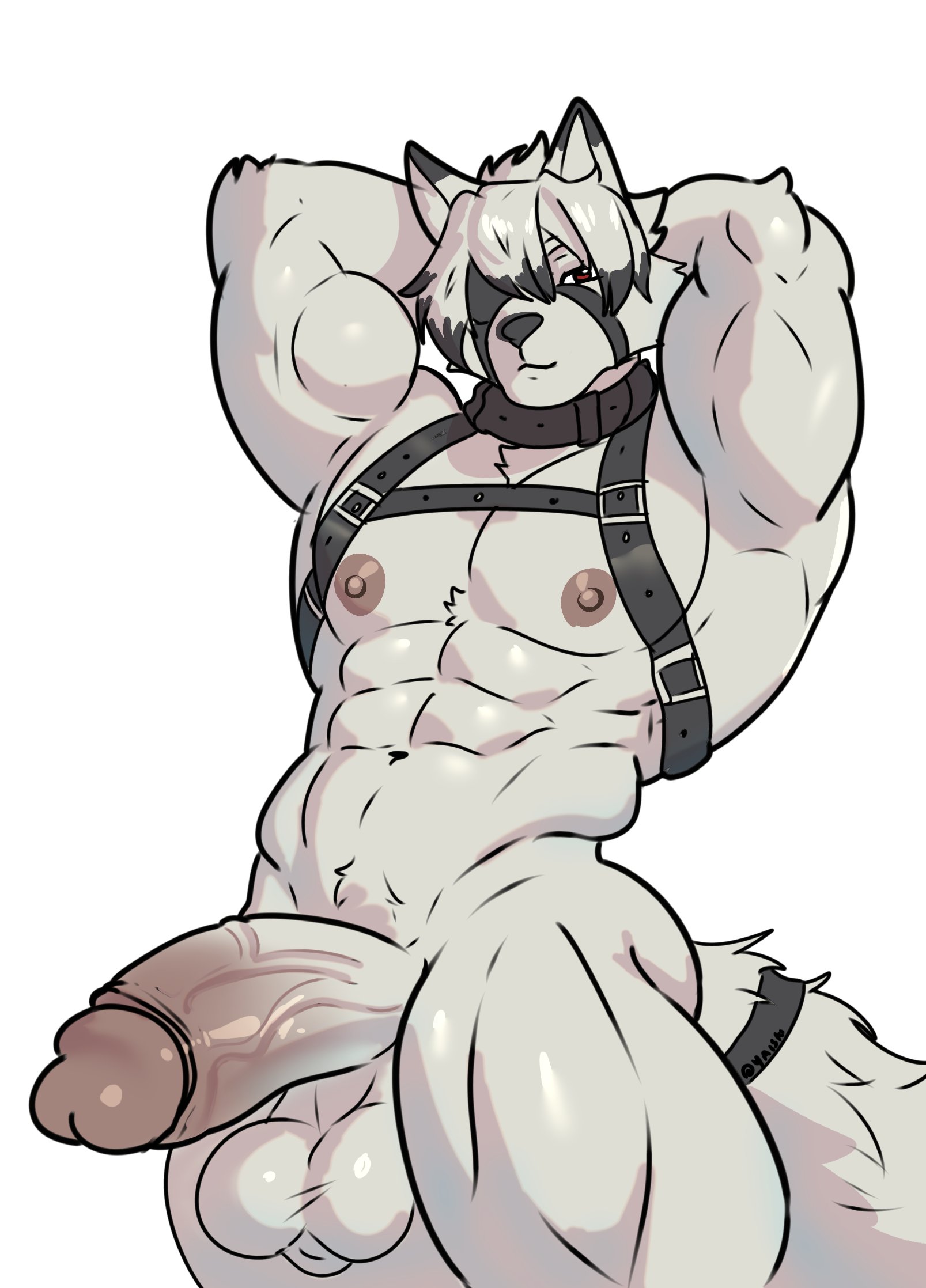 Abs Rule 34 Image