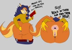 Sly Cooper (Series) Rule 34 Image
